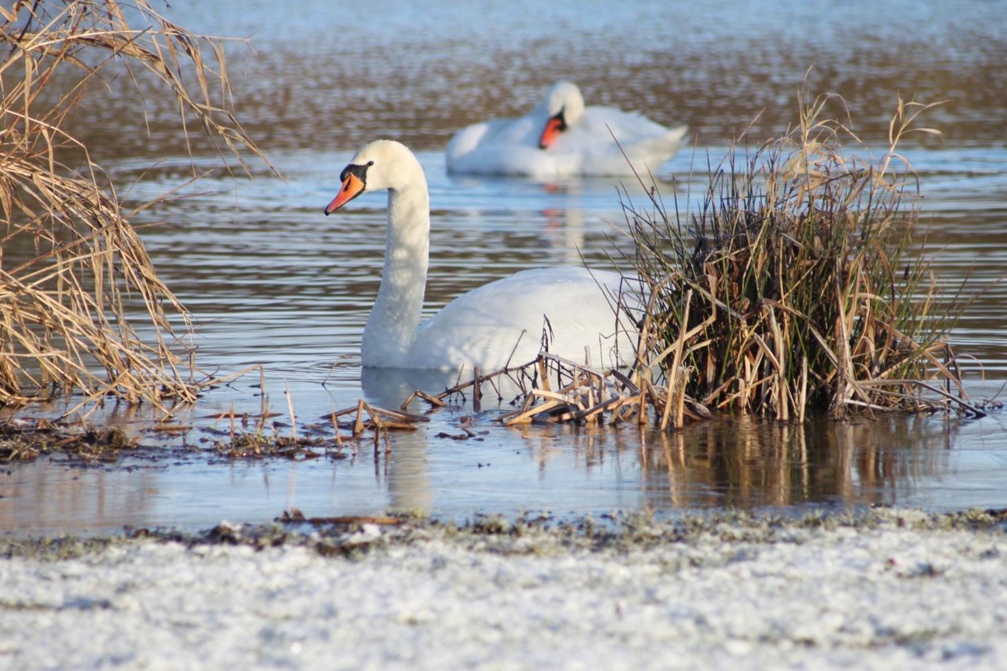 Willa Brook Meadow Market Harborough Zewnętrze zdjęcie